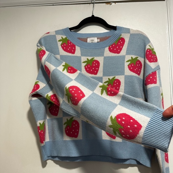 NWT Luna Ivy Anthropologie Strawberry and Blue Checker. Crew Neck Oversized Sm - Picture 10 of 16